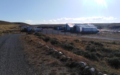 MINISTERIO DEL MEDIO AMBIENTE – ESTABLECE METAS DE RECOLECCIÓN Y VALORIZACIÓN Y OTRAS OBLIGACIONES ASOCIADAS DE NEUMÁTICOS